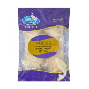 Frozen Octopus