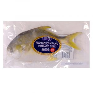 Frozen Pompano