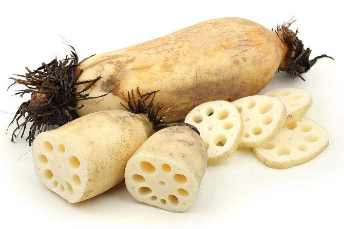Lotus root