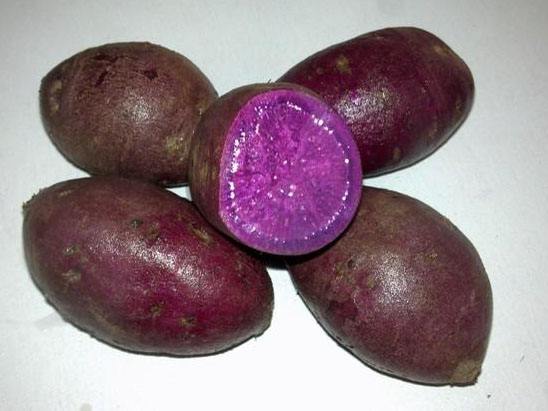 Purple potato