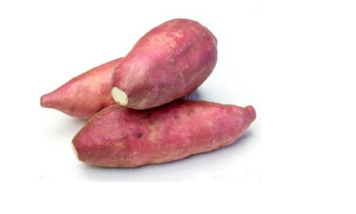 Sweet Potato
