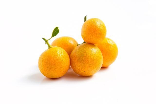 Kumquat