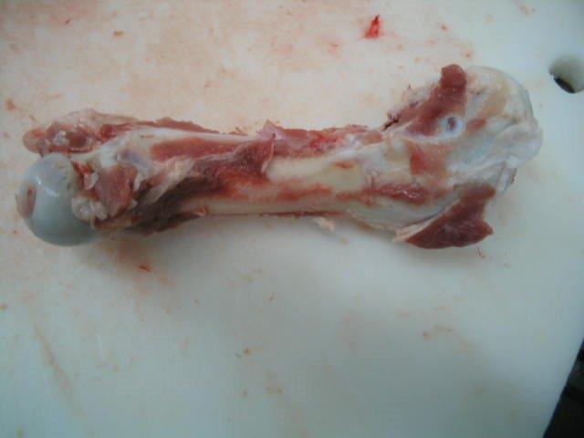 Pig bone